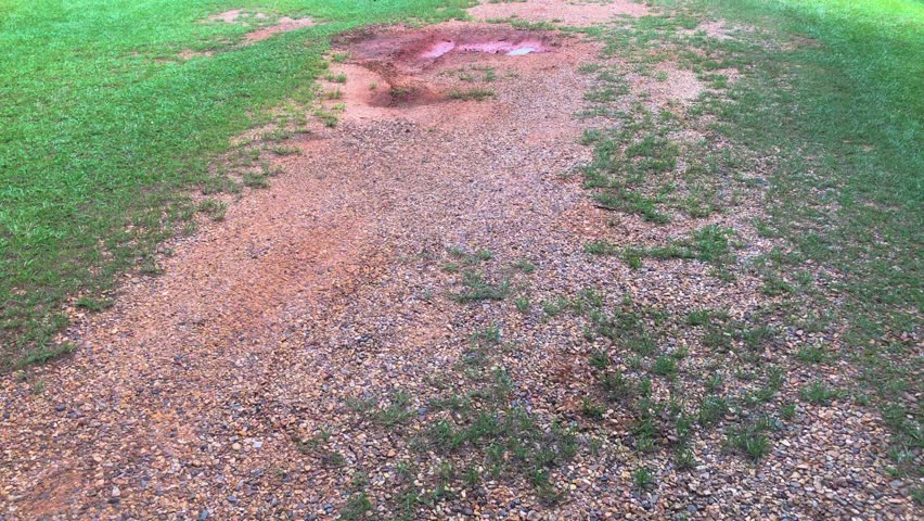 Country path in rural Mississippi