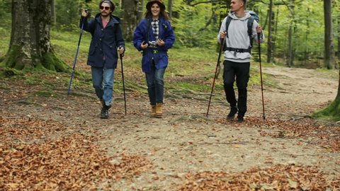Happy friends go trekking in awesome european mountains, chatting joyfully on their way, using the poles as walking along footpath covered with dry, autumn leaves