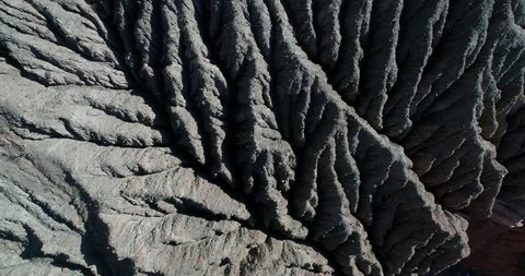 Get Venice beach vaeg kunst For iPhone Free