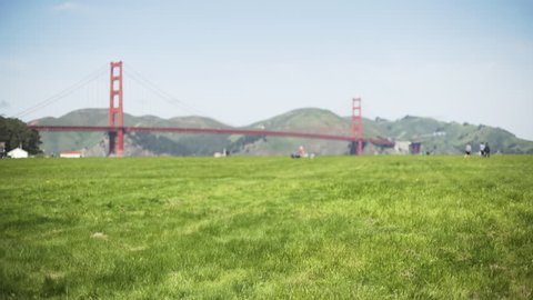 Defocused shot of grass blowing in wind at San Francisco Golden Gate bridge. Background plate of field near tower bridge. 4k