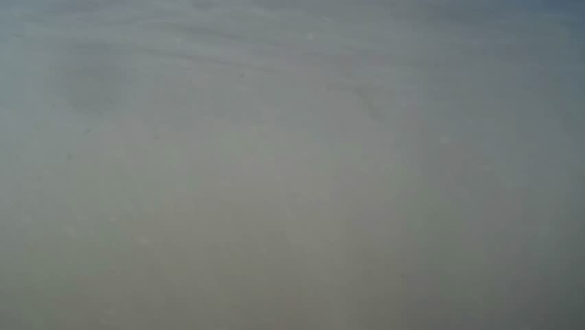 underwater shot with elephant