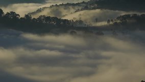 AERIAL 4K: Flight over mountain road and the greenhouse with fog clouds sun rise on mountain in fog in area of Dalat, Vietnam
