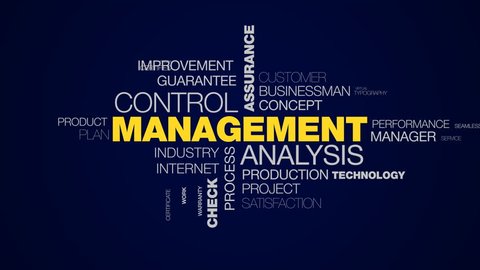 management analysis control assurance business organization strategy certification success check system animated word cloud background in uhd 4k 3840 2160.