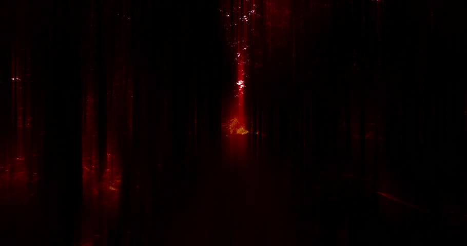 Shutterstock Video
