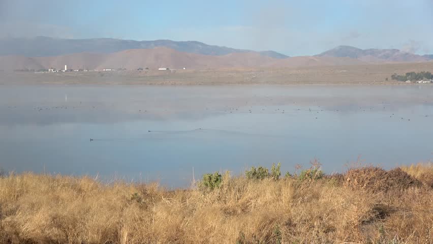 Fog moving over a pond in the desert during winter