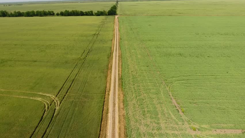 как создать однородное электрическое поле. лиди на пшеничном поле. магнитное поле между двумя магнитами. однородное электрическое поле. энергетический шар между руками.