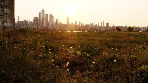 Empty Field and New York City Skyline 4k