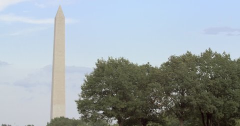 Pan Upward: The Green Grass and Trees of Monument (Shot on RED)