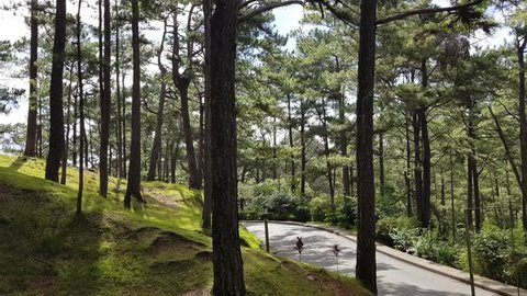 A stagnant shot of a narrow road behind a small hill and lots of tall trees. Shot in Baguio, Philippines.