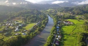 An aerial drone 4K footage of morning landscape village with river and green paddy field at Kiulu Sabah Malaysia Borneo.