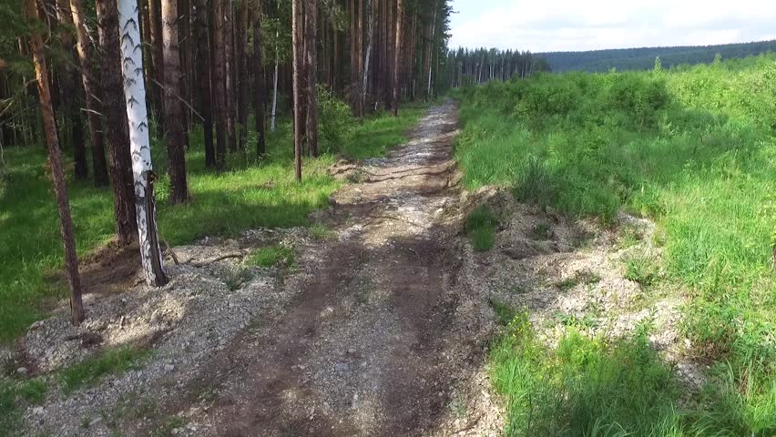 FOREST ROAD, ASCENT, SIBERIA