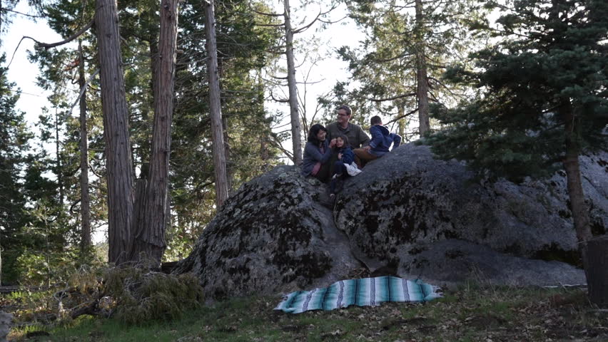 Dolly shot of family sitting on rock in forest during sunny day