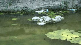 1920x1080 25 Fps. Trash and garbage floating on the surface of the water. Water pollution with dirty and plastic garbage floating on the surface of the sea video.