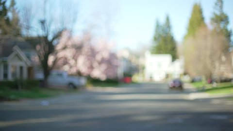 Exterior scene of a quiet neighborhood street with homes and trees. Blurred background of traditional houses with a cherry blossom tree in suburbia.