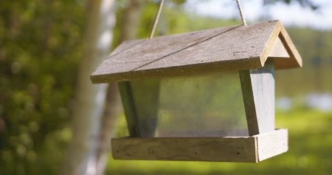 Hanging empty wooden bird feeder in back yard