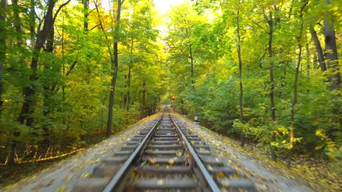Rail road way in empty autumn forest