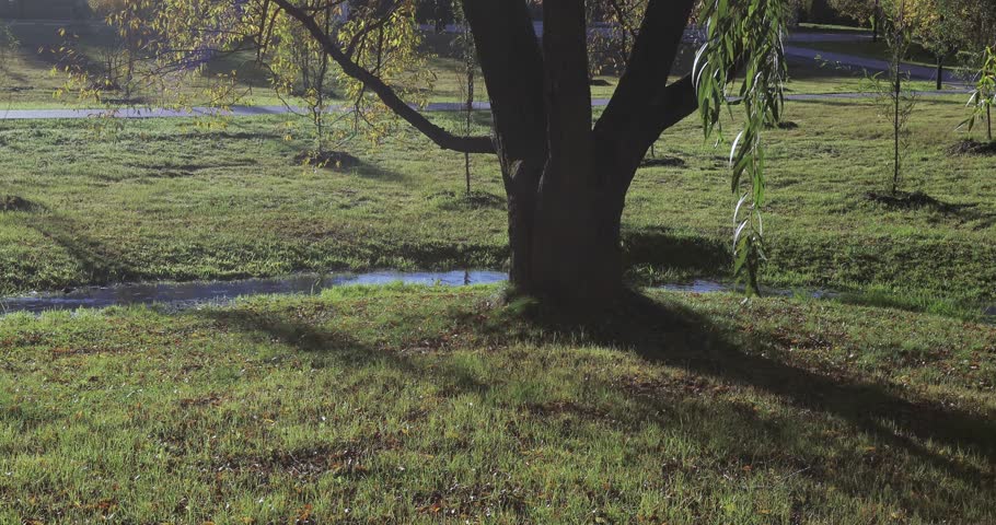 A small stream in the light of the morning sun in the city park of South Butovo