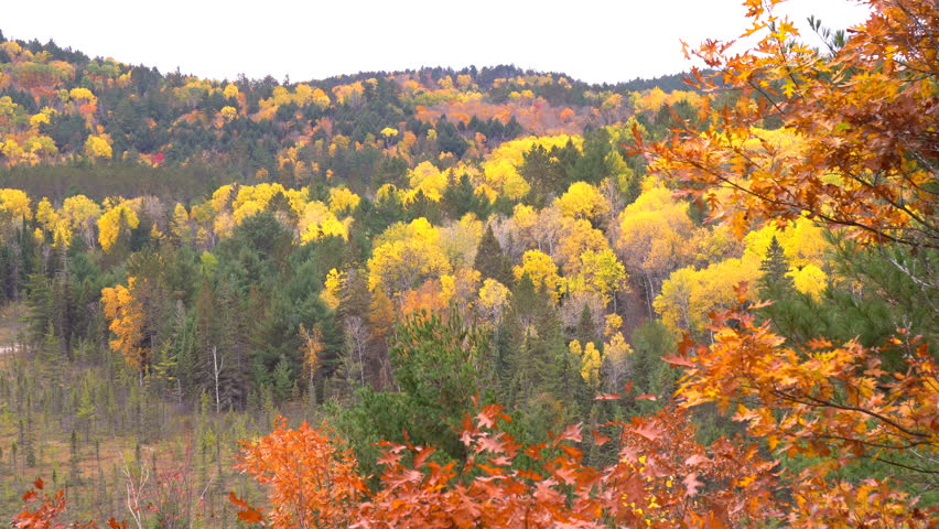 Algonquin Provincial Park with beautiful autumn leaf colors on rolling hill, view from lookout point in Visitor Centre