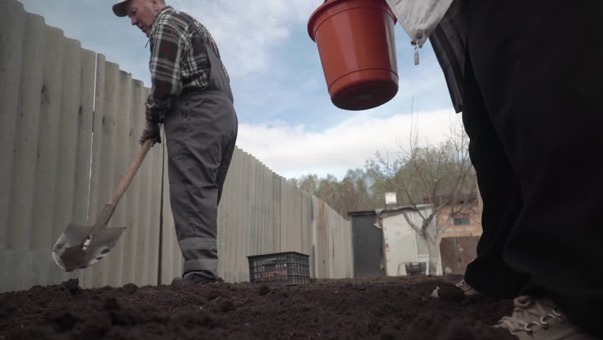 man and woman digging and planting potatoes
