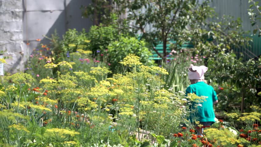 A little girl riding a tricycle at the cottage