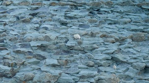 Limestone eroding by water