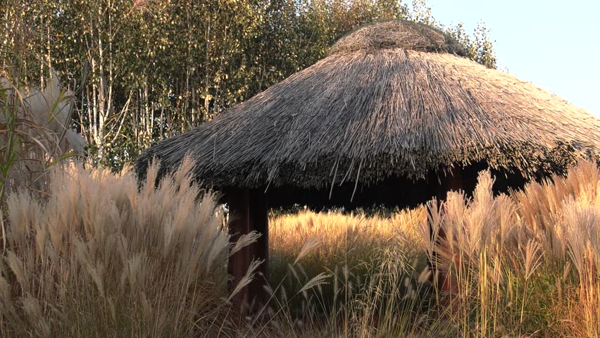 Hut with thatch of grasses. 4K, UHD, 50p, Cinematic,Closeup, 						