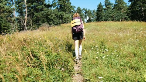 Woman tourist with a backpack walking in a field of wildflowers in a national park in the forest in the summer