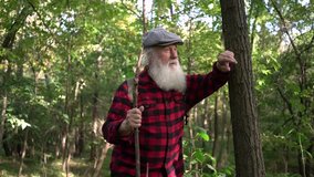 Old man walks along an autumn park on a sunny day. - Powered by Shutterstock - Get 15% off with code: PIKWIZARD15