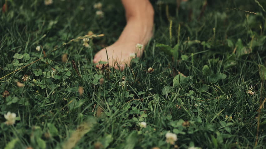 Woman's Feet Walking on the Green Summer Grass with Field Flowers. Close-up Shot. Summer Time Royalty-Free Stock Footage #1017906826