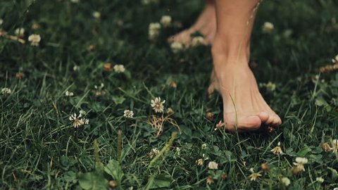 Woman's Feet Walking on the Green Summer Grass with Field Flowers. Close-up Shot. Summer Time