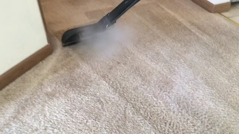 Carpet cleaning professional from above with hot water steam in a back and forth motion.