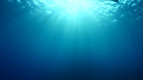 Underwater Blue Ocean Background Sea Stock Photo 510683431 | Shutterstock