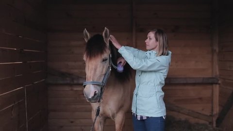 A female rider combs the mane of a horse in the barn