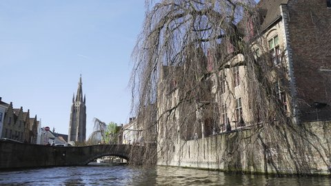 Canal view with traditional dutch building on both sides. Big tree over water and belfry tower at blue sky background.Bruges, Belgium