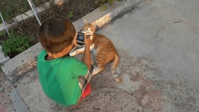 4K Young photographer adjusts camera and takes pictures of a posing cat
