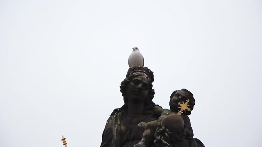 Birds flying, standing on the statue