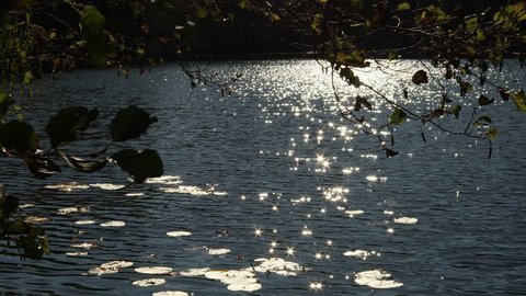 sun reflecting in the water of a lake