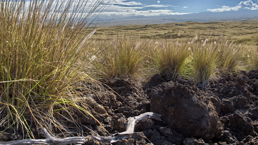 HDR Dynamic Grasslands Time Lapse, Waikoloa Ranch Land, Big Island, Hawaii