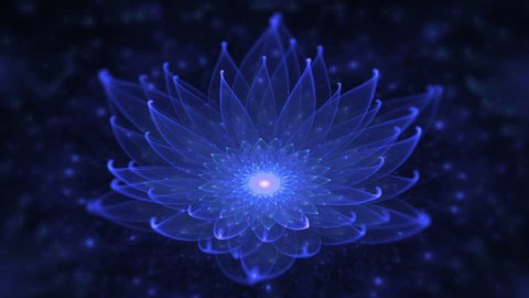 Glowing blue lotus, water lily, enlightenment or meditation and universe, magic scene - Space flower, neon blue  lotus, starry lights, fairy dust, tranquil, serene  motion, animation, seamless loop
