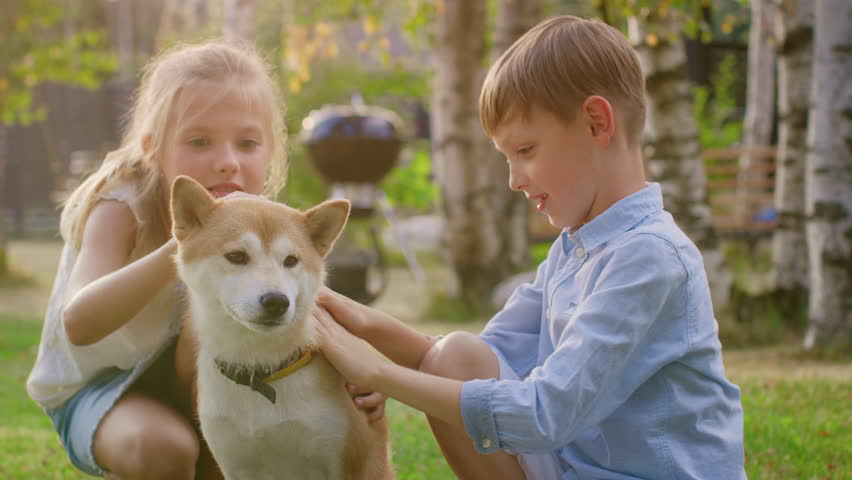 Little Boy and Girl Play with Cute Shibu Dog, Children Pet the Dog in the Backyard. Sunny Summer Day. Royalty-Free Stock Footage #1018046401