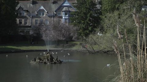 Ducks in a canal lake with a stone mansion in the background and water spraying out of the rocky island in the middle