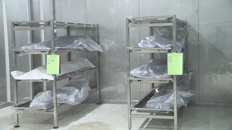 Soft bodies for dissection education of medical students in the freezer.