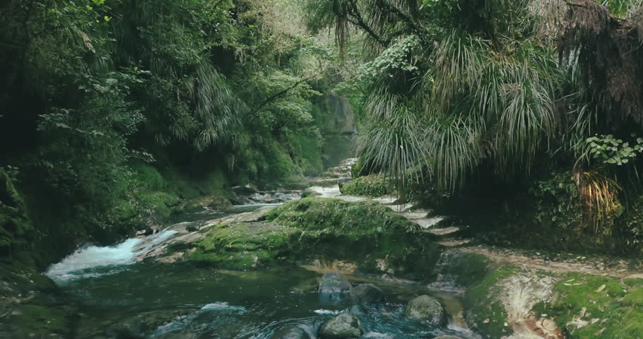 Magical hidden waterfall of New Zealand