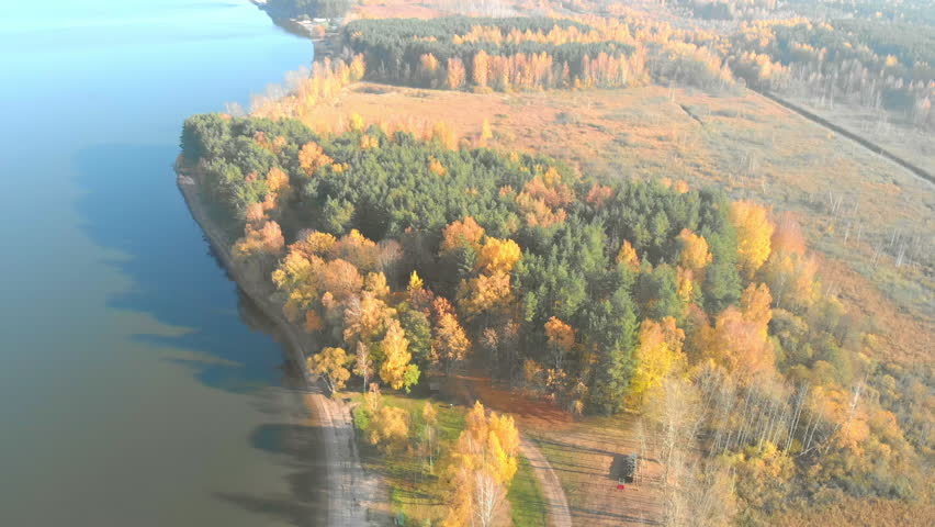Agriculture view from above. Autumn woods and fields with a bird
