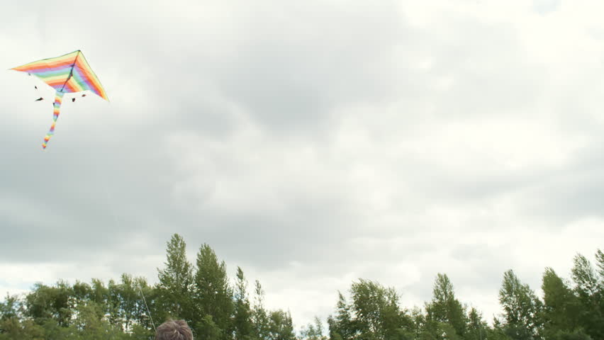 Handheld tilt down with rear view of father and preschool-age son with curly hair flying kite in park on gloomy day