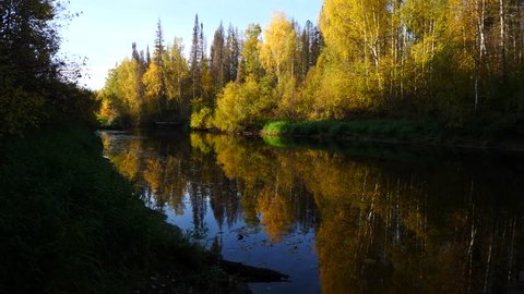 Quiet Forest river in the fall panoramic shot