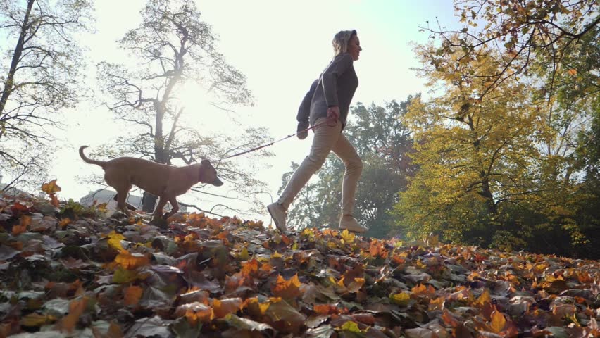 Young woman running in the park with her small leashed pet dog on bright sky background