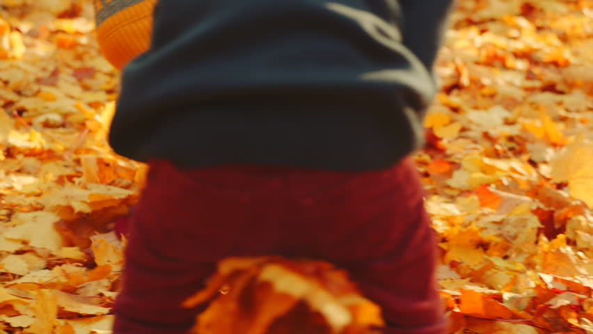 Children are playing with fallen leaves in the autumn park Royalty-Free Stock Footage #1018128220
