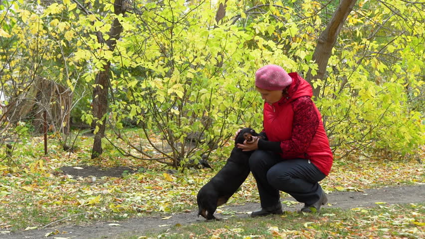 Elder Woman Petting the Dog in the Autumn Park