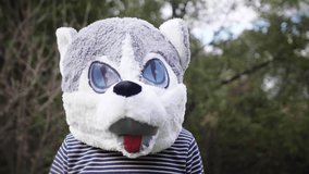 A close up slow motion shot of a man dancing in a furry wolf head in a field or pasture.	 	